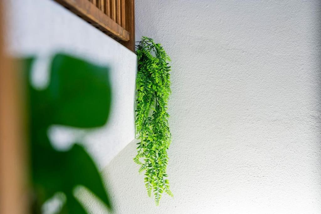 Charmant T2 Proche Place Aux Herbes Uzès Dış mekan fotoğraf